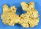 #1185 Large Natural Gold Nugget Australian 12.04 Grams Genuine