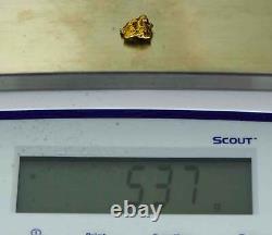 #1188 Natural Gold Nugget Australian 5.37 Grams Genuine