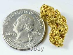 #1192 Natural Gold Nugget Australian 10.16 Grams Genuine