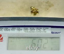 #1192 Natural Gold Nugget Australian 6.02 Grams Genuine