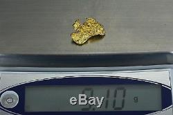 #1195 Large Natural Gold Nugget Australian 9.10 Grams Genuine