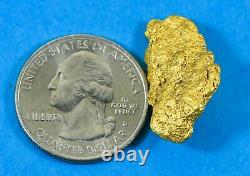 #1199 Natural Gold Nugget Australian 12.36 Grams Genuine