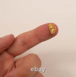 #12 Brazilian Crystalline Natural Gold Nugget. 75 grams