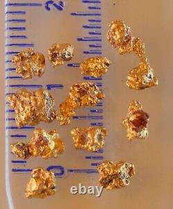12 genuine, natural, Australian gold nuggets 2.02 gram