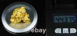 #1212 Natural Gold Nugget Australian 44.37 Grams Genuine