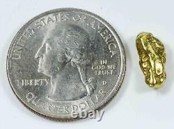 #123 Alaskan BC Natural Gold Nugget 1.95 Grams Genuine