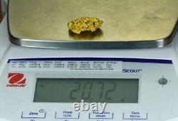 #1238 Large Natural Gold Nugget Australian 20.72 Grams Very Rare