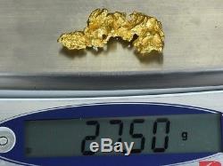 #1243 Large Natural Gold Nugget Australian 27.50 Grams Genuine Masquerade