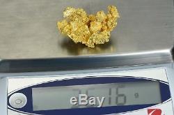 #1247 Large Natural Gold Nugget Australian 36.16 Grams Genuine
