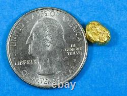 #125 Alaskan BC Natural Gold Nugget 1.58 Grams Genuine