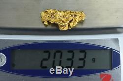 #1260 Large Natural Gold Nugget Australian 20.33 Grams Genuine