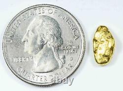 #13 California Gold Nugget 1.88 Grams Authentic Natural
