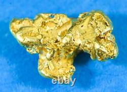 #136 Alaskan BC Natural Gold Nugget 1.41 Grams Genuine