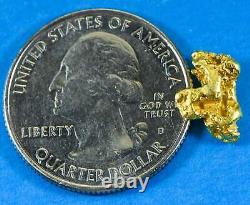 #136 Alaskan BC Natural Gold Nugget 1.41 Grams Genuine