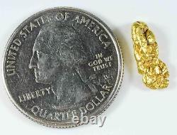 #145 Alaskan BC Natural Gold Nugget 1.67 Grams Genuine