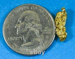 #149 Alaskan BC Natural Gold Nugget 1.63 Grams Genuine
