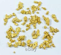 15.5 Grams Mixed Lot Natural Gold Nugget Australian #14-6 Mesh