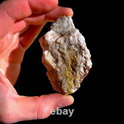 153 GRAMS / 5.4oz Australian Gold Bearing Quartz Rare Natural Specimen