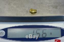 #155 Alaskan BC Natural Gold Nugget 1.56 Grams Genuine