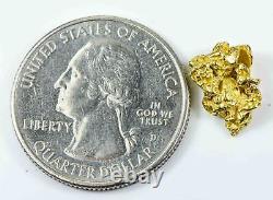 #160 Alaskan BC Natural Gold Nugget 1.54 Grams Genuine