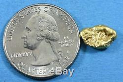 #160 Alaskan BC Natural Gold Nugget 1.82 Grams Genuine