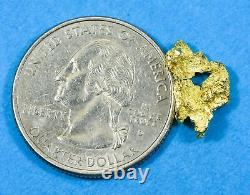 #162 Alaskan BC Natural Gold Nugget 1.40 Grams Genuine