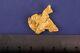 18.03 Gram Natural Gold Nugget From Australia