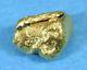 #181 Alaskan-yukon Bc Natural Gold Nugget 2.09 Grams Genuine