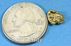 #181 Alaskan-Yukon BC Natural Gold Nugget 2.09 Grams Genuine