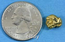 #182 Alaskan-Yukon BC Natural Gold Nugget 3.02 Grams Genuine