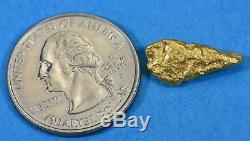 #187 Alaskan-Yukon BC Natural Gold Nugget 3.53 Grams Genuine