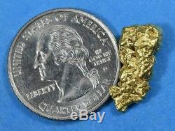 #187 Alaskan-Yukon BC Natural Gold Nugget 4.33 Grams Genuine