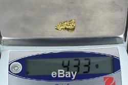 #187 Alaskan-Yukon BC Natural Gold Nugget 4.33 Grams Genuine