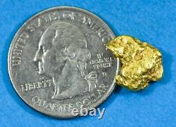 #192 Alaskan BC Natural Gold Nugget 2.65 Grams Genuine