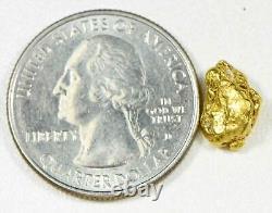 #196 Alaskan BC Natural Gold Nugget 2.06 Grams Genuine