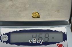 #196 Alaskan BC Natural Gold Nugget 4.69 Grams Genuine