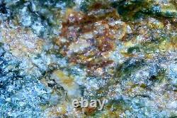 2.5 POUNDS Raw California Fine Gold Ore Specimen in Natural Green Schist 1.14 KG