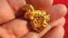 20 To 30 Gram Natural Australian Gold Nuggets