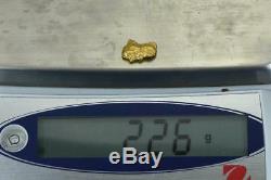 #201 Alaskan BC Natural Gold Nugget 2.26 Grams Genuine