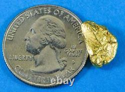 #201 Alaskan BC Natural Gold Nugget 3.91 Grams Genuine