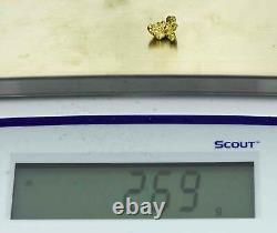 #204 Alaskan BC Natural Gold Nugget 2.69 Grams Genuine