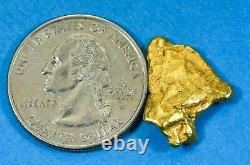 #206 Alaskan BC Natural Gold Nugget 4.84 Grams Genuine