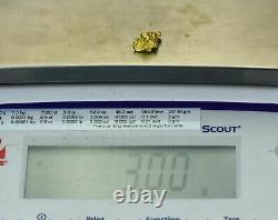 #208 Alaskan BC Natural Gold Nugget 3.00 Grams Genuine