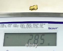 #212 Alaskan BC Natural Gold Nugget 2.85 Grams Genuine