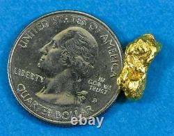 #213 Alaskan BC Natural Gold Nugget 2.95 Grams Genuine