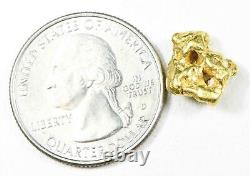 #213 Alaskan BC Natural Gold Nugget 4.95 Grams Genuine