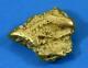 #218 Alaskan Bc Natural Gold Nugget 4.39 Grams Genuine