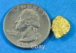#219 Alaskan BC Natural Gold Nugget 2.29 Grams Genuine