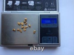 22 Grams Beautiful Natural Scottish Gold Nuggets 22ct Pickers Paydirt Panning