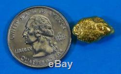 #220 Alaskan BC Natural Gold Nugget 4.25 Grams Genuine